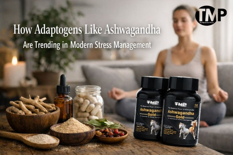 How Adaptogens Like Ashwagandha Are Trending in Modern Stress Management