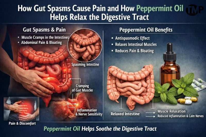 How Gut Spasms Cause Pain and How Peppermint Oil Helps Relax the Digestive Tract