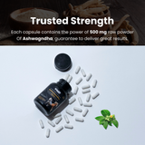 Unlock the Power of Ashwagandha Gold for Stamina and Stress Management