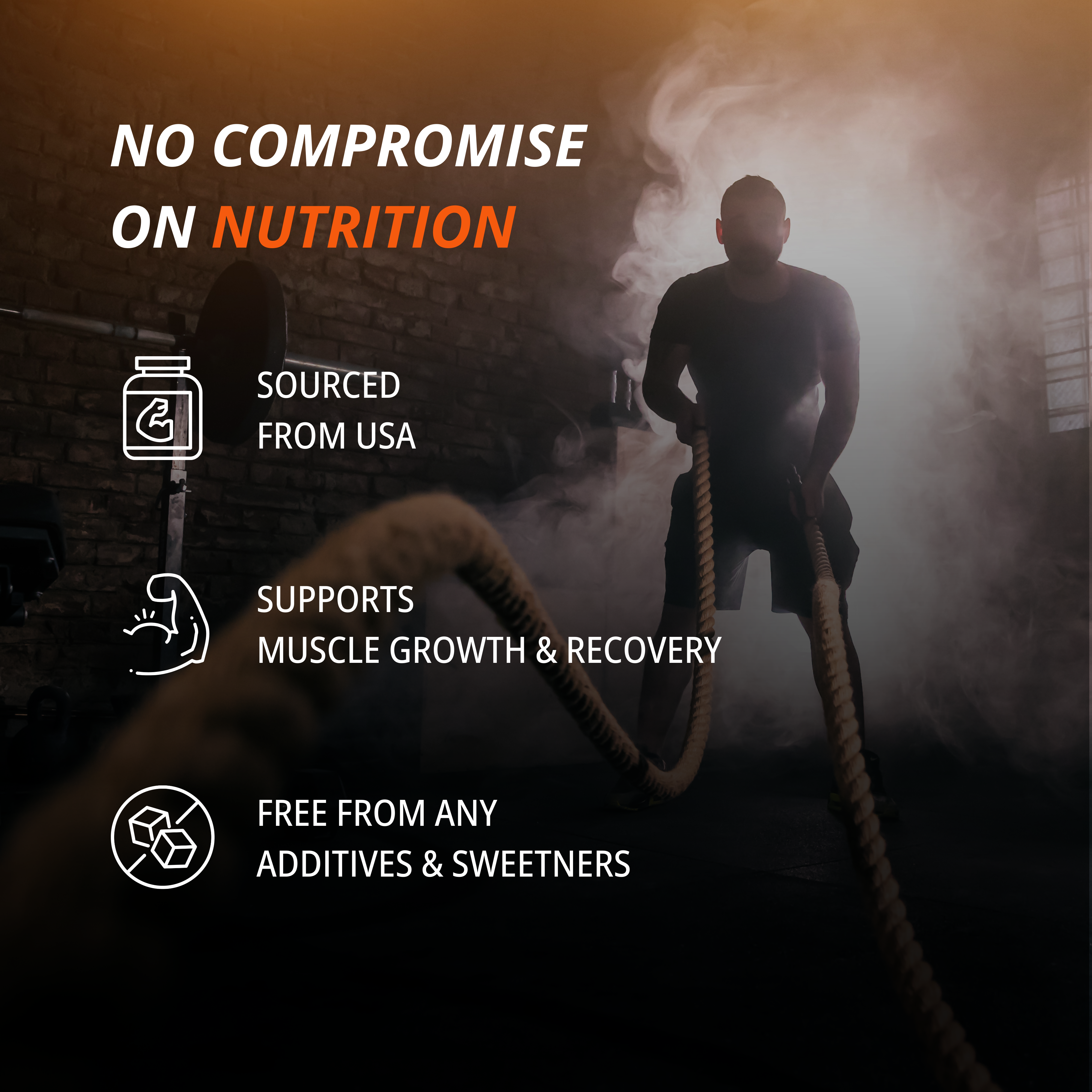Introducing Our Innovative Whey Protein Formula