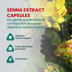 Senna Extract Capsules