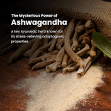 Extra Strength Ashwagandha Gold Capsules - Ayurvedic Stress & Sleep Support , Natural Energy & Immunity Booster , 60 Capsules per Bottle ( Pack of 2 )