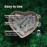 Extra Strength Ashwagandha Gold Capsules - Ayurvedic Stress & Sleep Support , Natural Energy & Immunity Booster , 60 Capsules per Bottle ( Pack of 2 )