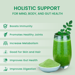 Moringa Powder Organic 500g