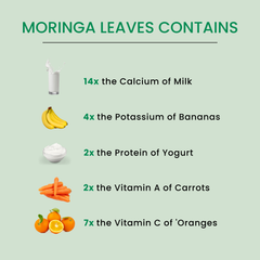 Moringa Powder Organic 500g