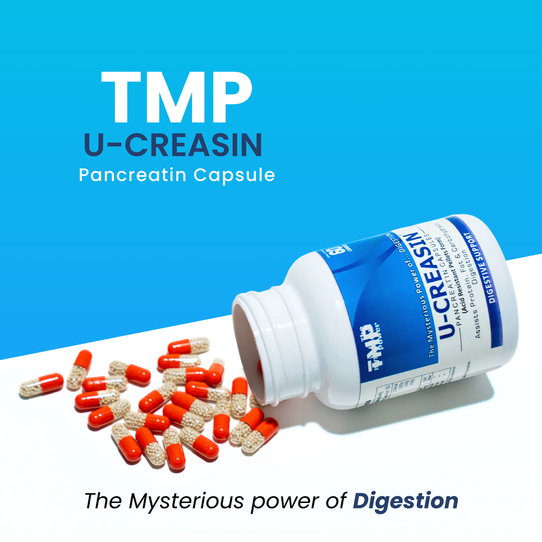 TMP U-CREASIN Pancreatin Capsules | Pancreatin Supplement Capsules | Digestive Support for Protein, Fat & Carbohydrate Digestion | Acid Resistant Pellets Technology (60 Capsules Pack)