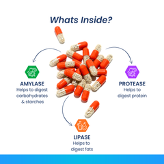 Pancreatin Capsules (60 Capsules Pack )